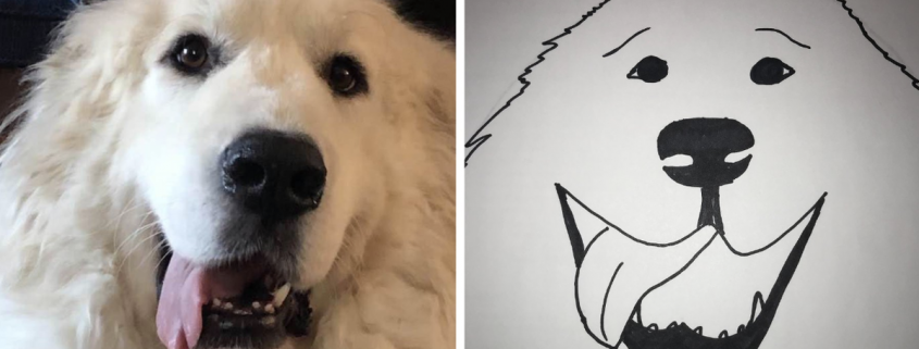 Humane Society will give you a bad custom drawing of your pet for a $15 donation